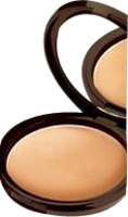 DR.HAUSCHKA Bronzing Powder