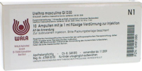 URETHRA masculina GL D 30 Ampullen