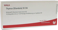 THYMUS GLANDULA GL D 4 Ampullen