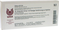 UTERUS GL D 8 Ampullen