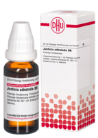 JUSTICIA adhatoda D 6 Dilution