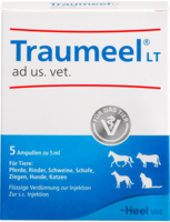 TRAUMEEL LT ad us.vet.Ampullen