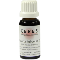 CERES Dipsacus fullonum Urtinktur