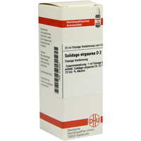 SOLIDAGO VIRGAUREA D 2 Dilution