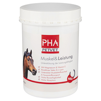 PHA Muskel & Leistung Pulver f.Pferde