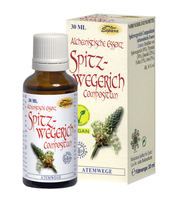 SPITZWEGERICH COMPOSITUM alchemistische Essenz