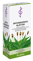 SPITZWEGERICHBLÄTTER Tee