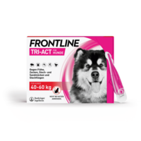 FRONTLINE Tri-Act Lsg.z.Auftropfen f.Hunde 40-60kg
